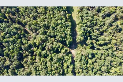 Tbd Cr 1579, Avinger, TX 75630 - Photo 7