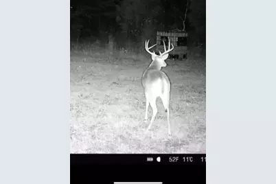 Tbd Cr 1579, Avinger, TX 75630 - Photo 15