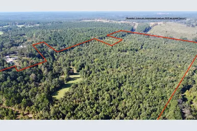 Tbd Cr 1579, Avinger, TX 75630 - Photo 3