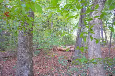 Tbd Bob O Link Rd., Gladewater, TX 75645 - Photo 5