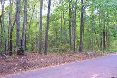 Tbd Bob O Link Rd., Gladewater, TX 75645 - Photo 1