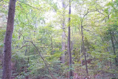 Tbd Bob O Link Rd., Gladewater, TX 75645 - Photo 3