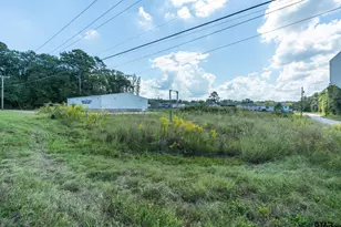 10595 FM 2813, Flint, TX 75762 - Photo 17