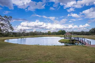 3551 NW County Road 1018, Mt Vernon, TX 75457 - Photo 13