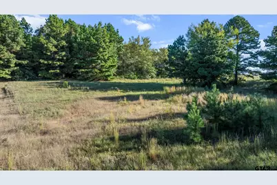 17218 Stella Maris St., Winona, TX 75792 - Photo 7