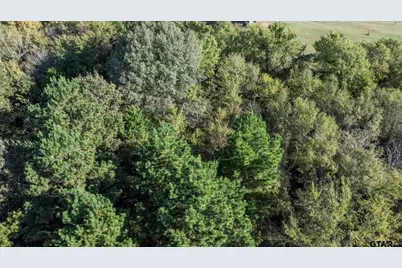 17218 Stella Maris St., Winona, TX 75792 - Photo 15