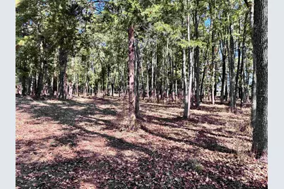 Tbd Vz County Road 4823, Chandler, TX 75758 - Photo 3