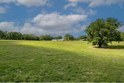 1393 County Road 4940, Quitman, TX 75783 - Photo 5