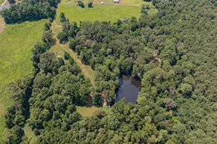 14608 FM 130, Hughes Springs, TX 75656 - Photo 37