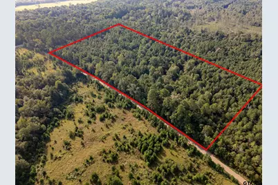 17288 Cr 399, Winona, TX 75792 - Photo 1