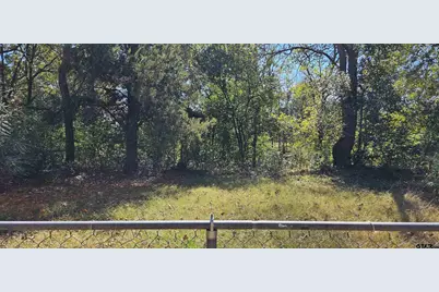 1713 W Frank, Grand Saline, TX 75140 - Photo 9