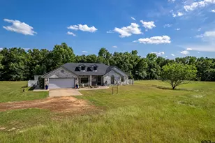 8533 FM 315, Frankston, TX 75763 - Photo 3