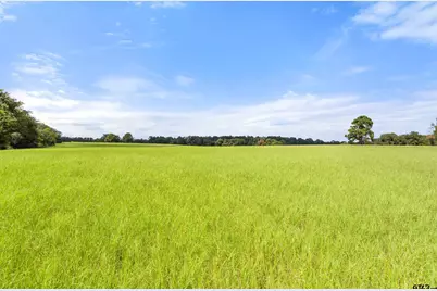 1147 N Fm 346, Bullard, TX 75757 - Photo 9