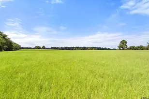 1147 N Fm 346, Bullard, TX 75757 - Photo 9