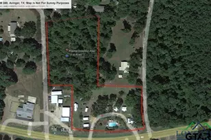 8880 Fm 729, Avinger, TX 75630 - Photo 5