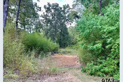 8880 Fm 729, Avinger, TX 75630 - Photo 21