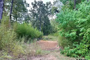 8880 Fm 729, Avinger, TX 75630 - Photo 21