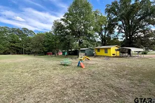 8880 Fm 729, Avinger, TX 75630 - Photo 11