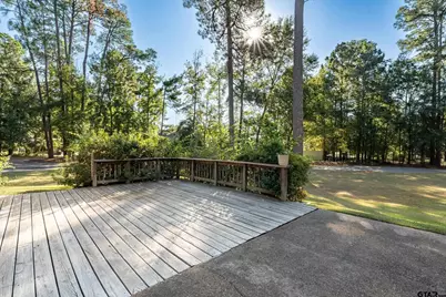 331 Bent Horseshoe Lane, Holly Lake Ranch, TX 75765 - Photo 9