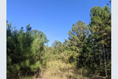 Cr 240, Tyler, TX 75705 - Photo 3