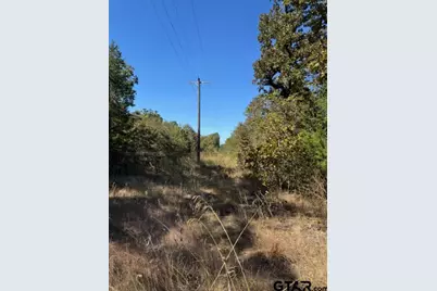 0 Cr 1514, Van, TX 75790 - Photo 3