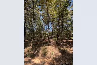 0 Cr 1514, Van, TX 75790 - Photo 9