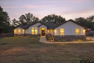 20491 Hwy 110 S, Troup, TX 75789 - Photo 3