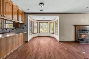 1159 County Road 479D 2, Mt Enterprise, TX 75681 - Photo 7