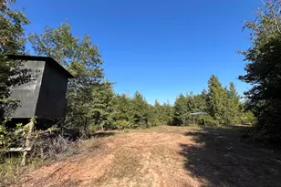 Tbd Cr 1579-1, Avinger, TX 75630 - Photo 1