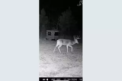 Tbd Cr 1579-2, Avinger, TX 75630 - Photo 17