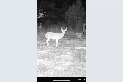 Tbd Cr 1579-2, Avinger, TX 75630 - Photo 15