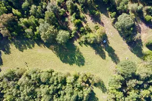 Tbd Cr 1579-2, Avinger, TX 75630 - Photo 1