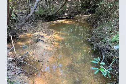 Tbd Cr 1579-2, Avinger, TX 75630 - Photo 7