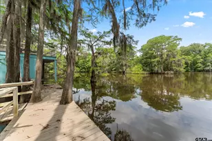 230 W Sesame St, Karnack, TX 75661 - Photo 29