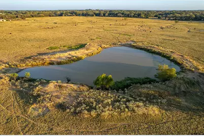 5081 Hwy 154, Yantis, TX 75497 - Photo 13