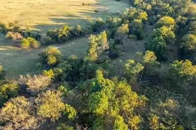 5081 Hwy 154, Yantis, TX 75497 - Photo 41