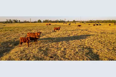 5081 Hwy 154, Yantis, TX 75497 - Photo 17