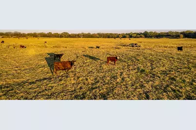 5081 Hwy 154, Yantis, TX 75497 - Photo 11