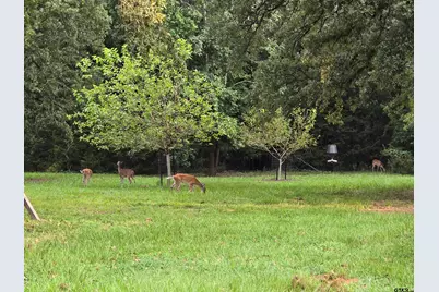 23489 Fm 1995, Lindale, TX 75771 - Photo 31