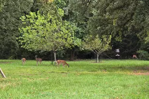 23489 FM1995, Lindale, TX 75771 - Photo 31