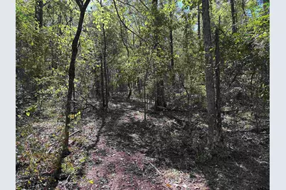 Tbd Cr 1318, Rusk, TX 75785 - Photo 15