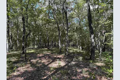Tbd Cr 1318, Rusk, TX 75785 - Photo 7