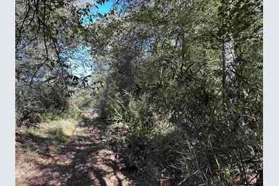 Tbd Cr 1318, Rusk, TX 75785 - Photo 21
