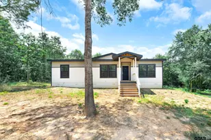 211 Private Rd 3900, Gilmer, TX 75644 - Photo 3