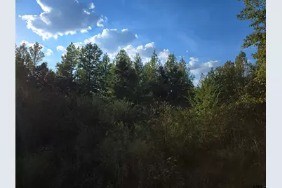 Tbd Cr 2864/Off Road, Hughes Springs, TX 75656 - Photo 7