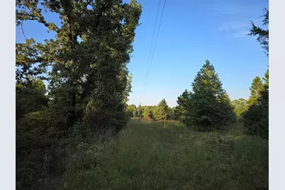Tbd Cr 2864/Off Road, Hughes Springs, TX 75656 - Photo 21