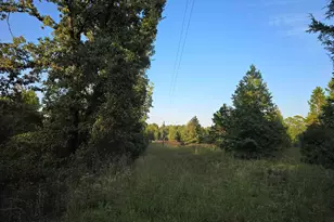 Tbd Cr 2864/Off Rd, Hughes Springs, TX 75656 - Photo 21