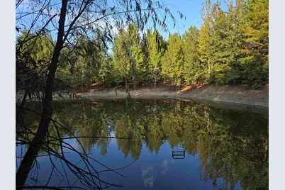 Tbd Cr 2864/Off Road, Hughes Springs, TX 75656 - Photo 1