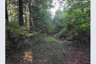 Tbd Cr 2864/Off Road, Hughes Springs, TX 75656 - Photo 3