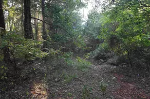 Tbd Cr 2864/Off Rd, Hughes Springs, TX 75656 - Photo 3